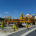 Construction workers in neon vests operate machinery on a highway under a clear blue sky. They are finishing a new concrete pour on the road using large equipment.