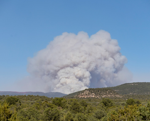 A thick plume of smoke from a fire is visible far away on the horizon.