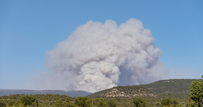 A thick plume of smoke from a fire is visible far away on the horizon.