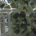 Aerial view of a road intersection filled with cars and adjacent parking lot
